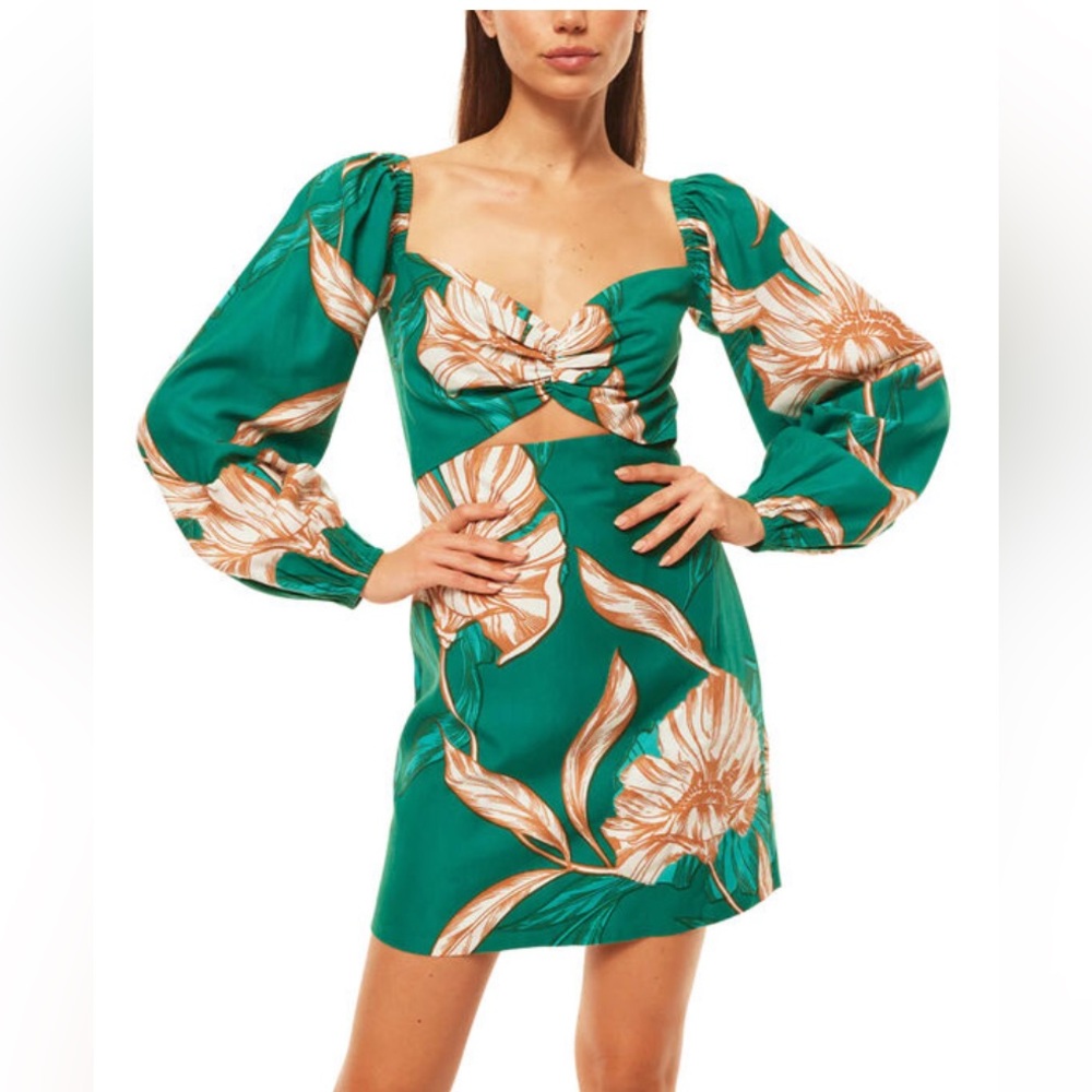 Misa Los Angeles Nina Dress in Cartagena Flora Size XS